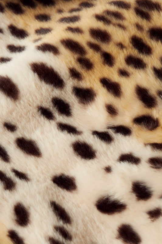 KING LOUIE Ivory Anais Cheetah Fur